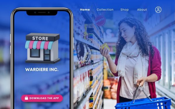 Professional e-commerce web design services by DeepTechArt